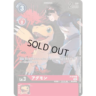 画像1: 〔状態A-〕(02)(背景に花)アグモン【P】{P-079}《赤》