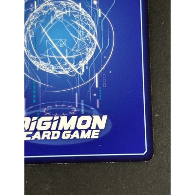 画像11: (02)(CHAMPIONSHIP)ガンクゥモン(デジ文字)【R】{BT13-019}《多》