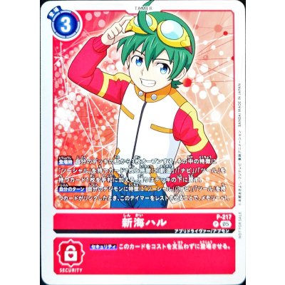 画像1: (05)新海ハル【P】{P-217}《赤》