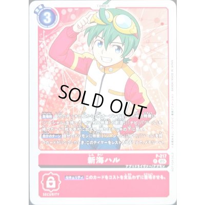 画像1: (05)新海ハル【P】{P-217}《赤》