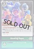 (06)(WINNER)Glowing Dawn【P】{P-236}《緑》