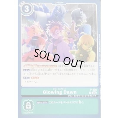 画像1: 〔状態A-〕(06)Glowing Dawn【P】{P-236}《緑》