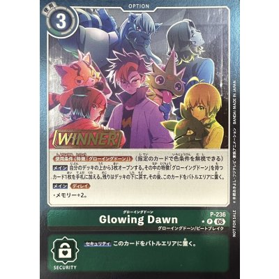 画像1: 〔状態A-〕(06)(WINNER)Glowing Dawn【P】{P-236}《緑》