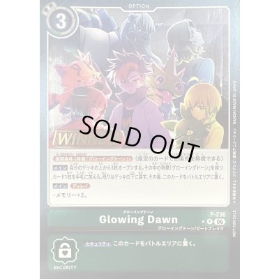 画像1: 〔状態A-〕(06)(WINNER)Glowing Dawn【P】{P-236}《緑》