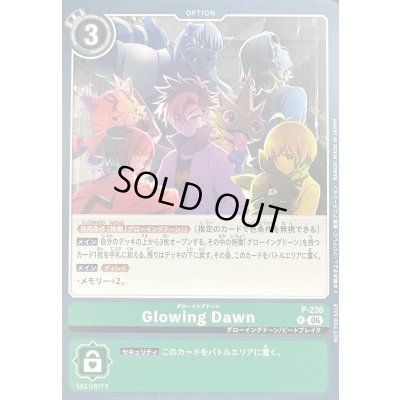 画像1: 〔状態A-〕(06)Glowing Dawn【P】{P-236}《緑》