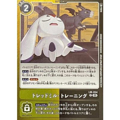 画像1: (05)トレッドミル・トレーニング【P】{LM-054}《多》