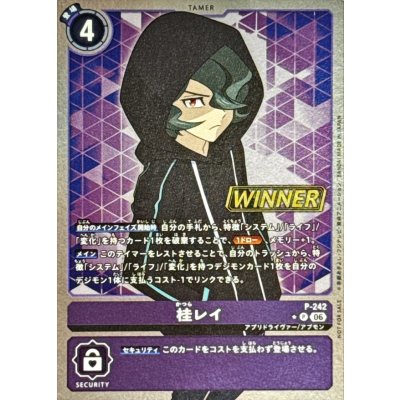 画像1: (06)(WINNER)桂レイ【P】{P-242}《紫》