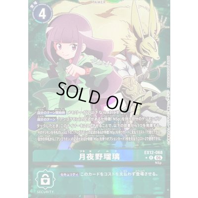 画像1: 〔状態B〕(06)(パラレル/ディルビットモン)月夜野瑠璃【R-P】{EX12-068}《緑》