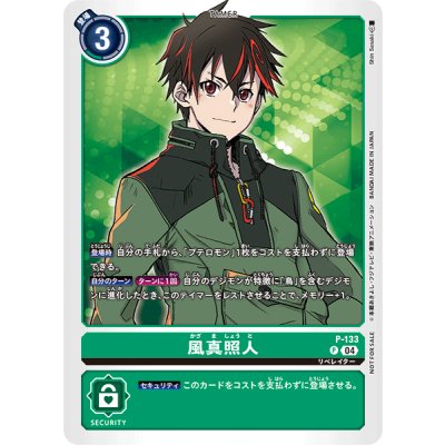 画像1: (04)風真照人【P】{P-133}《緑》