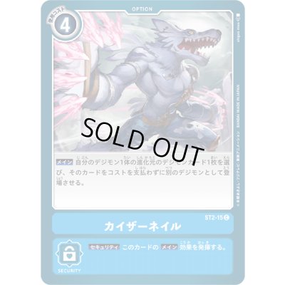 画像1: 〔状態B〕(-)カイザーネイル【C】{ST2-15}《青》