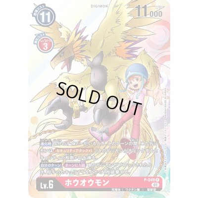 画像1: 〔状態A-〕(01)ホウオウモン【P】{P-049}《赤》