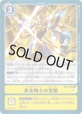 (01)黄金騎士の覚醒【C】{BT9-098}《黄》
