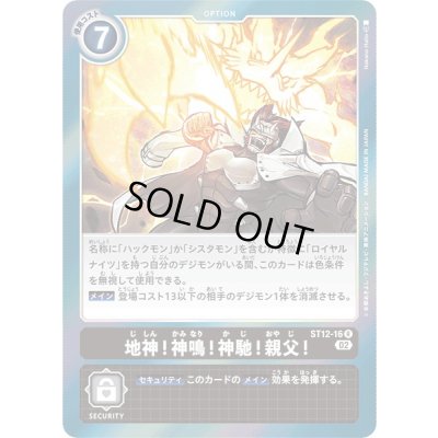 画像1: 〔状態A-〕(02)地神！神鳴！神馳！親父！【R】{ST12-16}《黒》