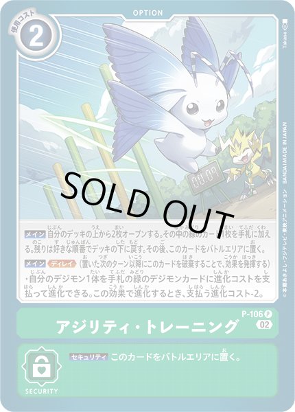 画像1: 〔状態B〕(02)アジリティ・トレーニング【P】{P-106}《緑》 (1)