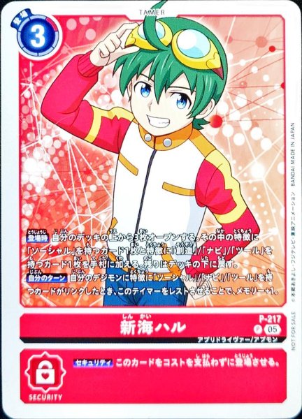 画像1: (05)新海ハル【P】{P-217}《赤》 (1)