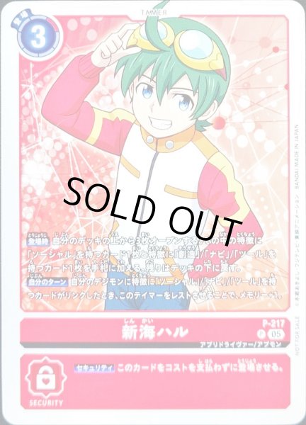 画像1: (05)新海ハル【P】{P-217}《赤》 (1)