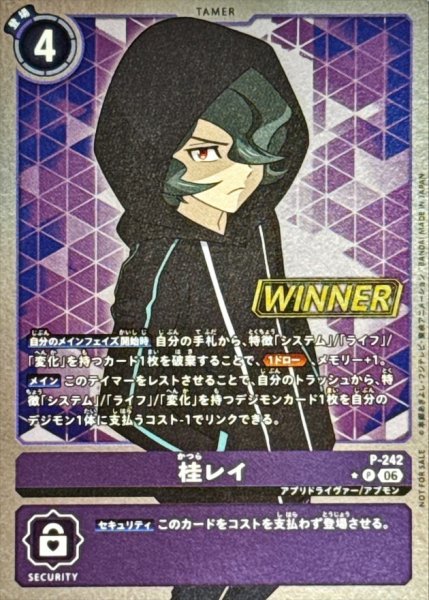 画像1: (06)(WINNER)桂レイ【P】{P-242}《紫》 (1)