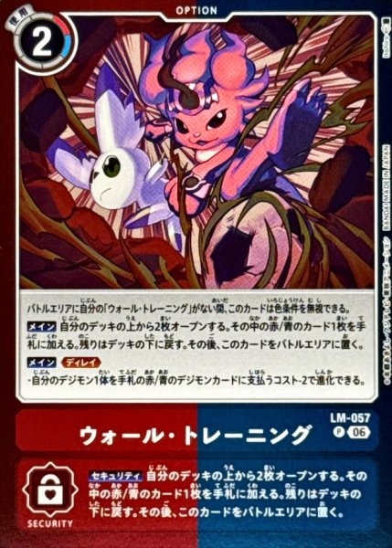 画像1: 〔状態A-〕(06)ウォール・トレーニング【P】{LM-057}《多》 (1)