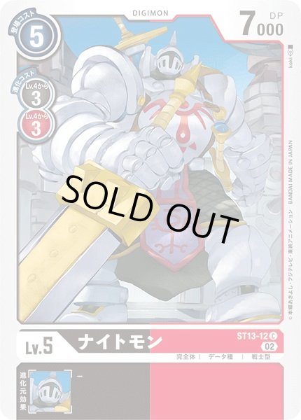 画像1: 〔状態A-〕(02)ナイトモン【C】{ST13-12}《多》 (1)